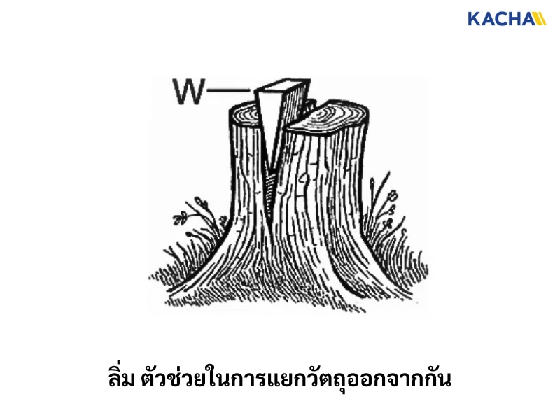 ลิ่ม (Wedge) ลิ่ม (Wedge)