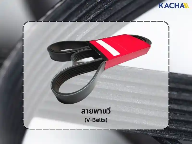 รู้จักกับ-สายพาน-มีกี่ชนิด-04 รู้จักกับ-สายพาน-มีกี่ชนิด-04