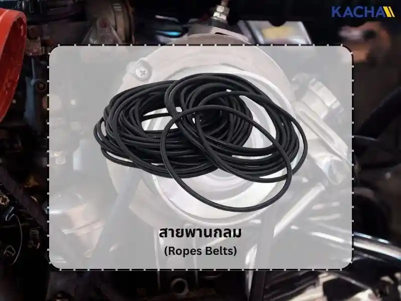 รู้จักกับ-สายพาน-มีกี่ชนิด-05 รู้จักกับ-สายพาน-มีกี่ชนิด-05