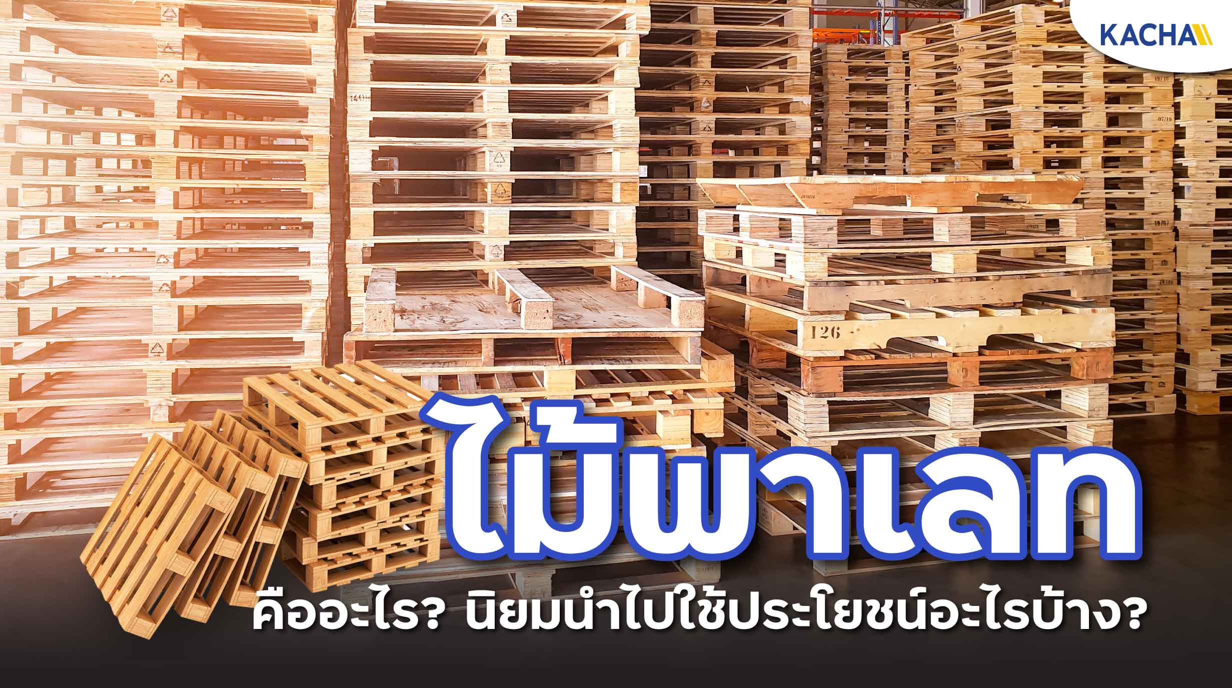 ไม้พาเลท คืออะไร? ประโยชน์ที่มากกว่าการใช้เป็นลัง