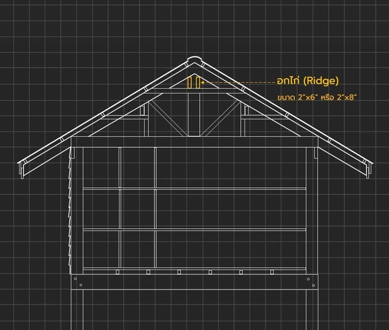 อกไก่ (Ridge)