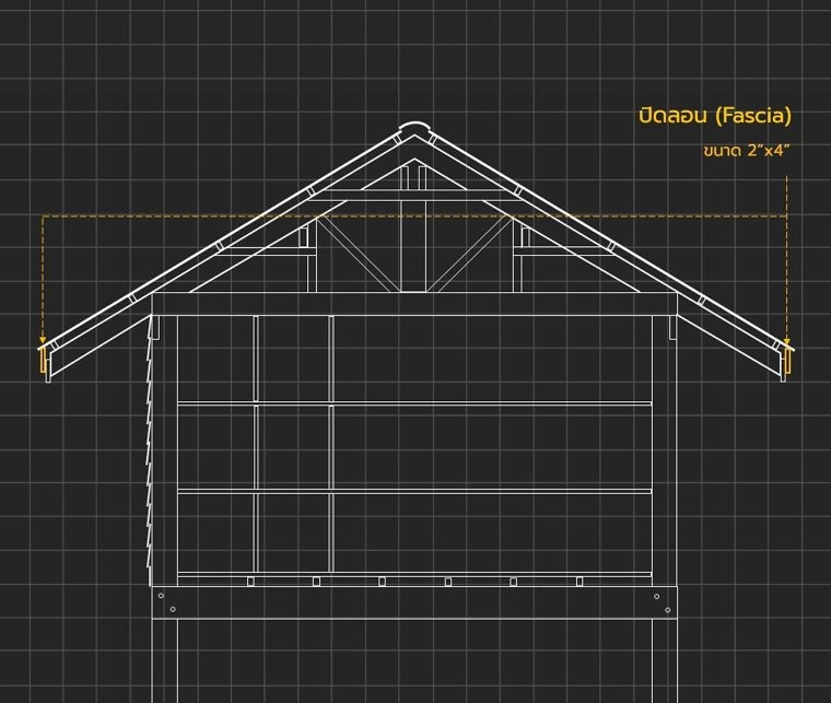 ปิดลอน (Fascia)