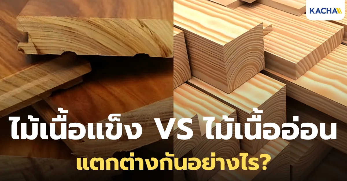 รู้จักกับ ไม้เนื้อแข็ง VS ไม้เนื้ออ่อน ต่างกันอย่างไร? รู้จักกับ ไม้เนื้อแข็ง VS ไม้เนื้ออ่อน ต่างกันอย่างไร?