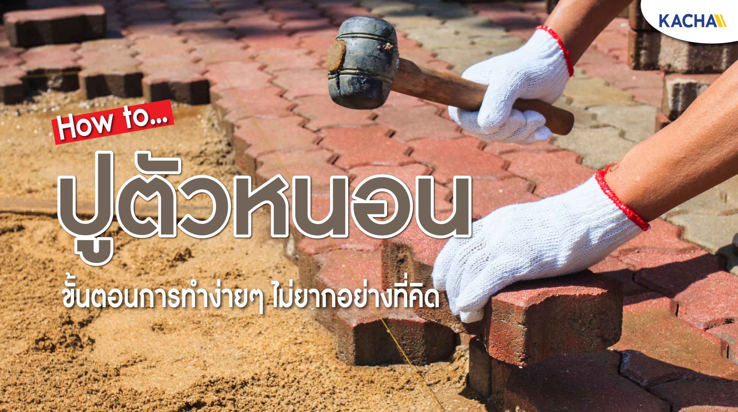 220901-Content-ปูตัวหนอน-01
