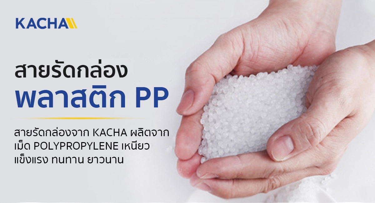 สายรัดกล่อง pp