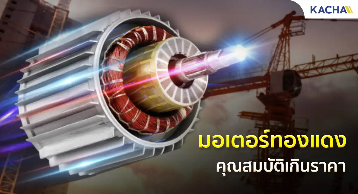 รอกไฟฟ้ารุ่นเริ่มต้น Economy คุณสมบัติเพิ่มเติม