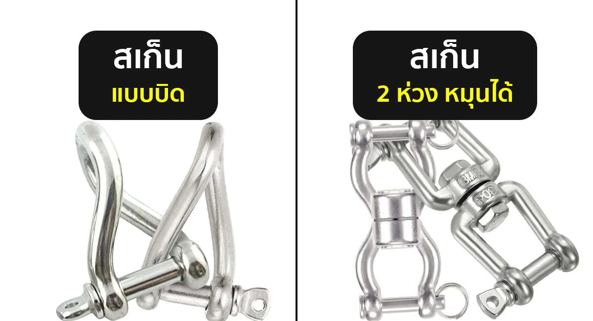 บทความ-สเก็น-แต่ละประเภท-1