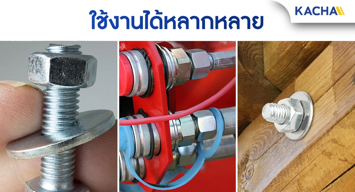 อีแปะ-Feture-01-100