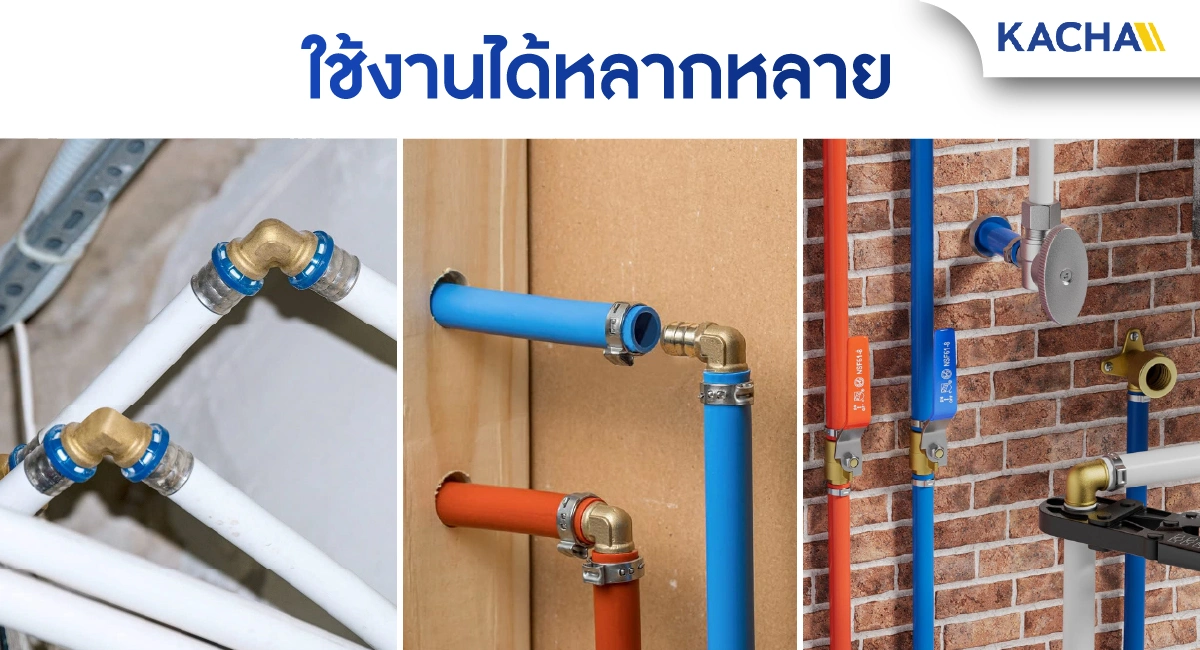 PJB-L-real-feture-02-100