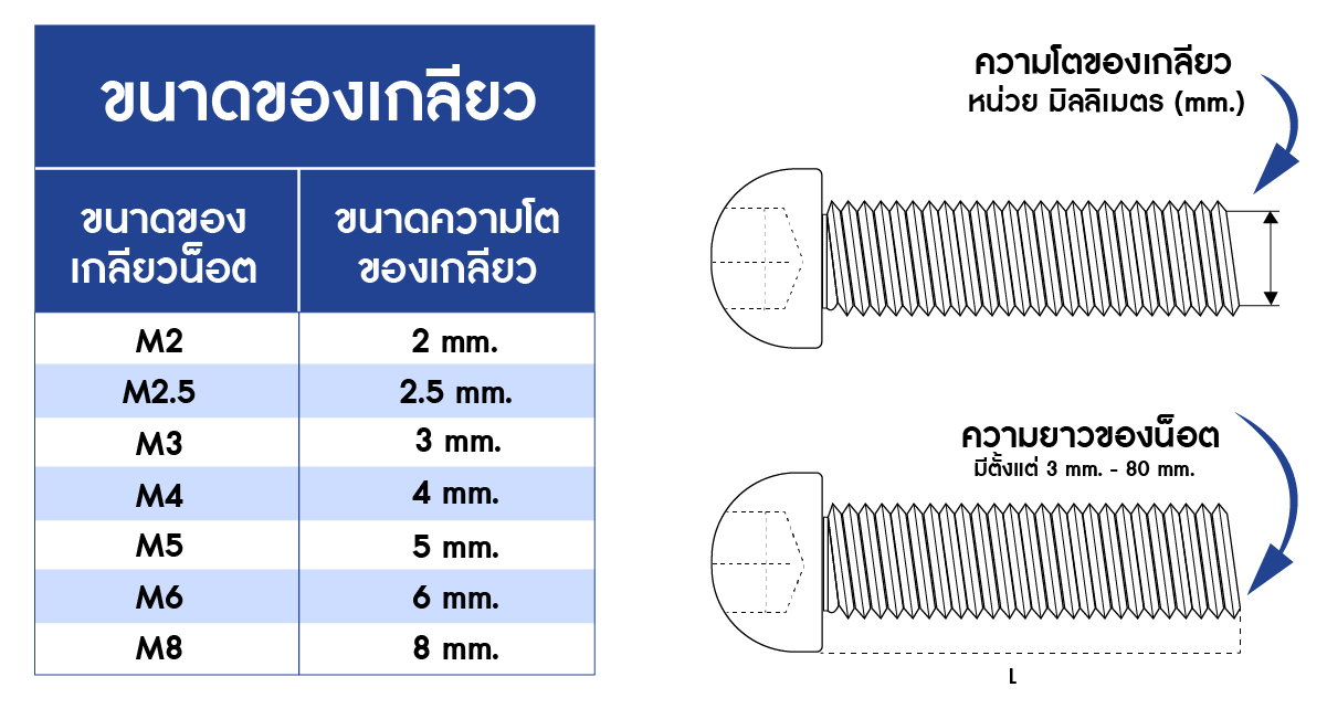 ขนาดสินค้า สกรูหัวจมกลม สแตนเลส 304