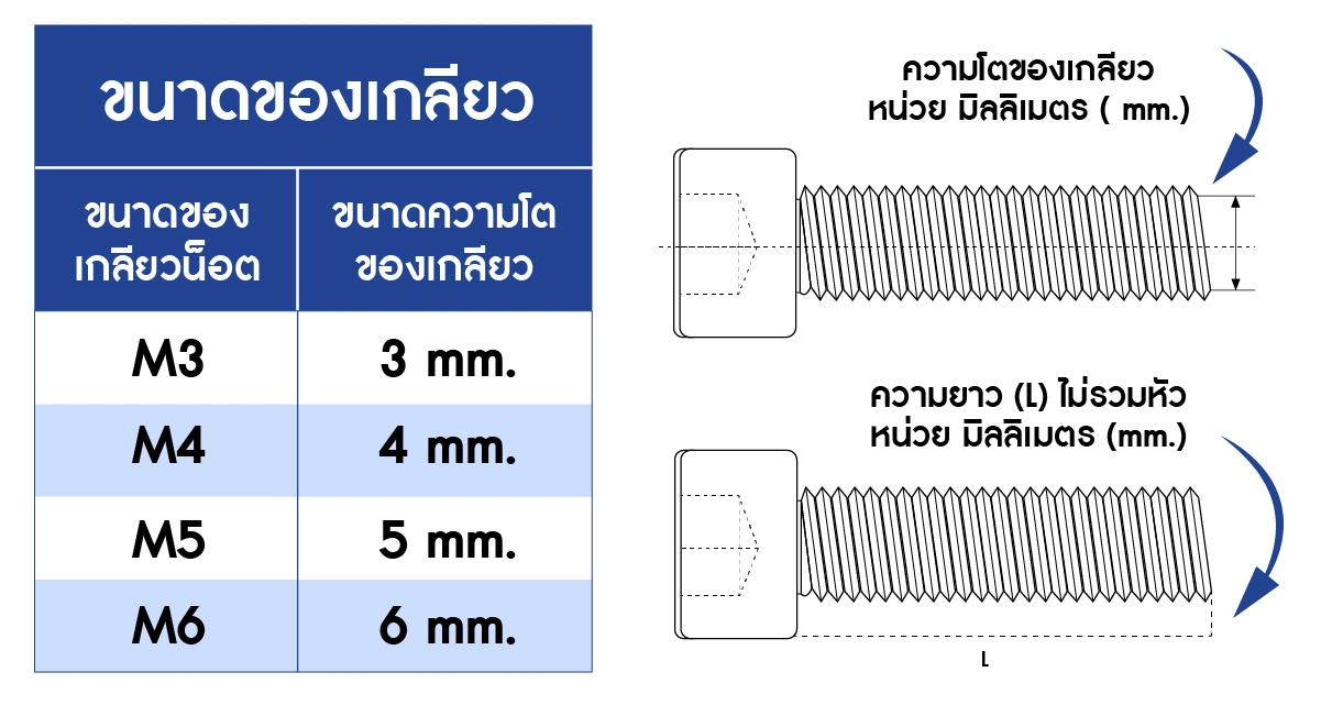 ขนาดสินค้า สกรูหัวจมหกเหลี่ยมสแตนเลส 304