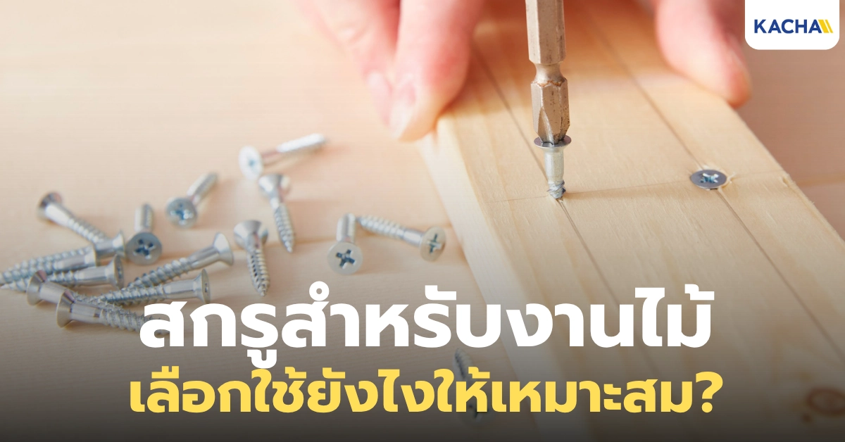 สกรูสำหรับงานไม้ ต่างกับสกรูทั่วไปอย่างไร เลือกใช้ยังไงให้เหมาะสม?