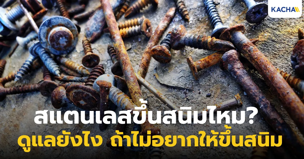 สแตนเลสขึ้นสนิมไหม? ดูแลยังไง ถ้าไม่อยากให้ขึ้นสนิม