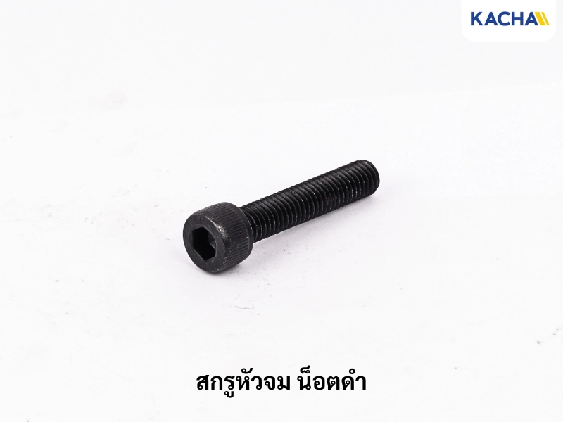 สกรูหัวจม น็อตดำ
