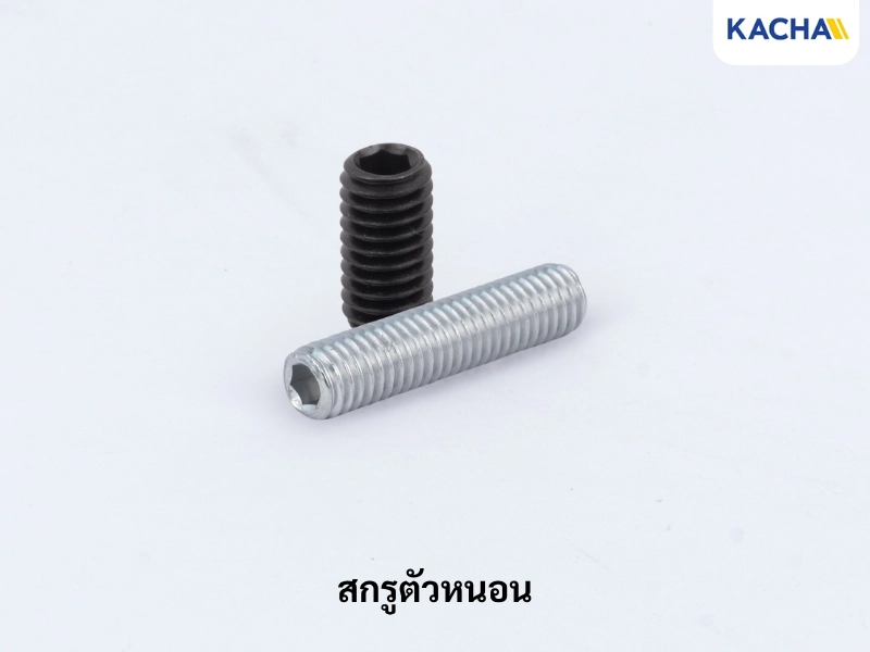 สกรูตัวหนอน