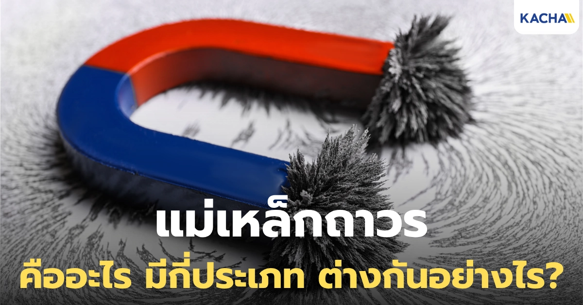แม่เหล็กถาวรคืออะไร มีกี่ประเภท? พร้อมวิธีเลือกใช้ให้เหมาะกับงาน
