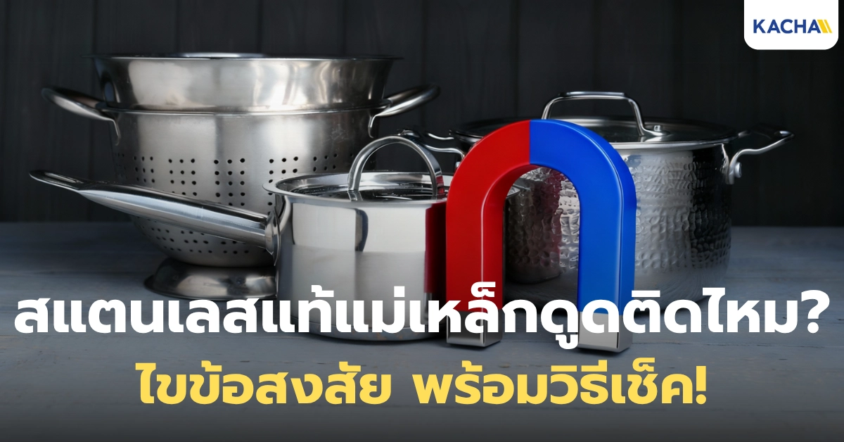 สแตนเลสแท้แม่เหล็กดูดติดไหม? ไขข้อสงสัยให้เข้าใจง่ายๆ!