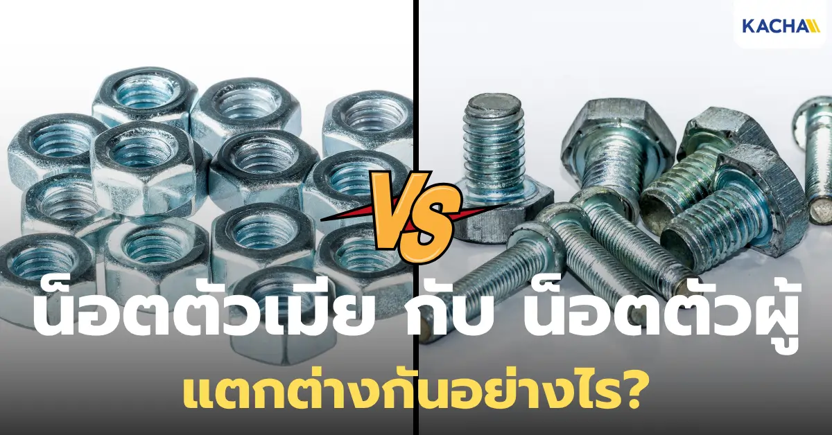 น็อตตัวเมีย คืออะไร? ต่างกับน็อตตัวผู้อย่างไรบ้าง?