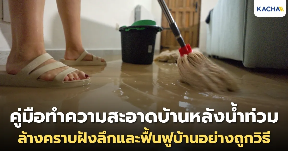 คู่มือทำความสะอาดบ้านหลังน้ำท่วม ล้างคราบฝังลึกและฟื้นฟูบ้านอย่างถูกวิธี
